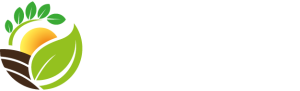 Vida Diversa