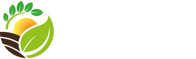 Vida Diversa